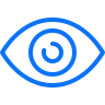 Vision Icon